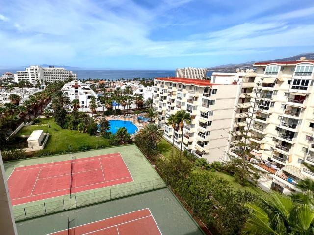 Piso, Arona