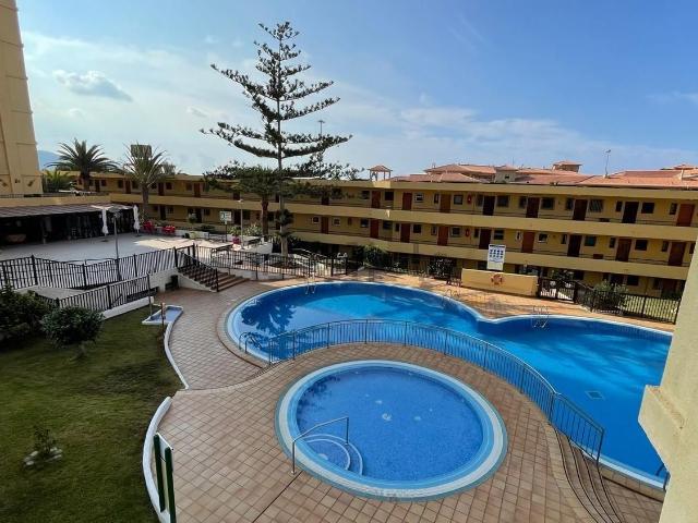 Piso, Arona