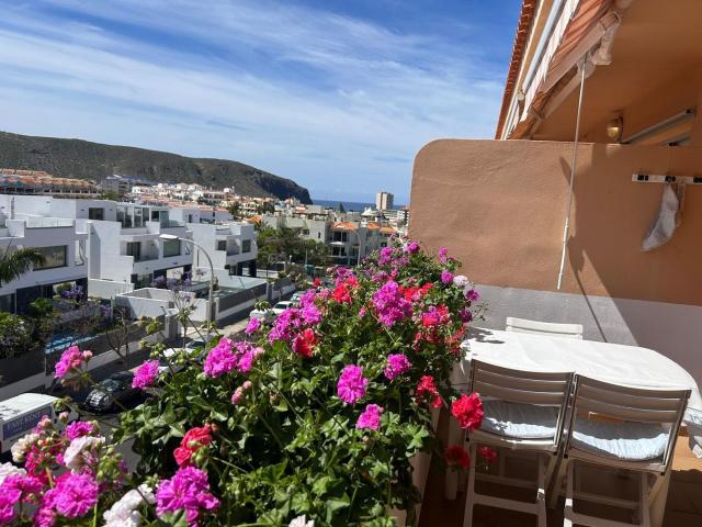 Piso, Arona