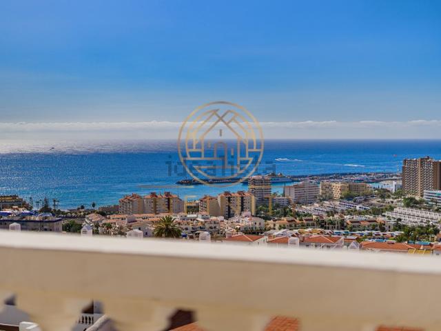 Piso, Arona