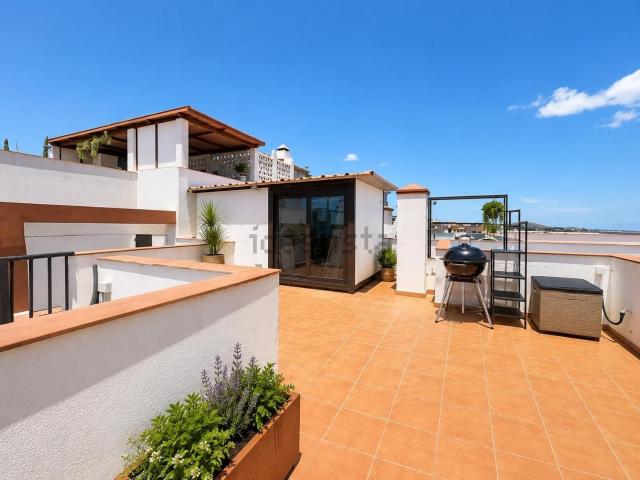 Piso, Arona