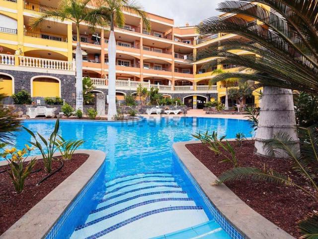 Piso, Arona