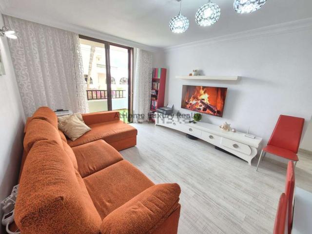 Piso, Arona