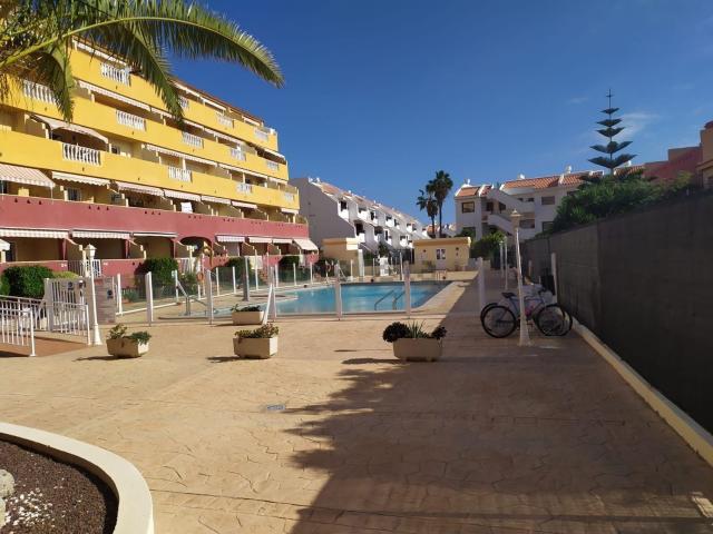 Piso, Arona