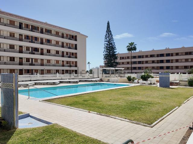 Piso, Arona