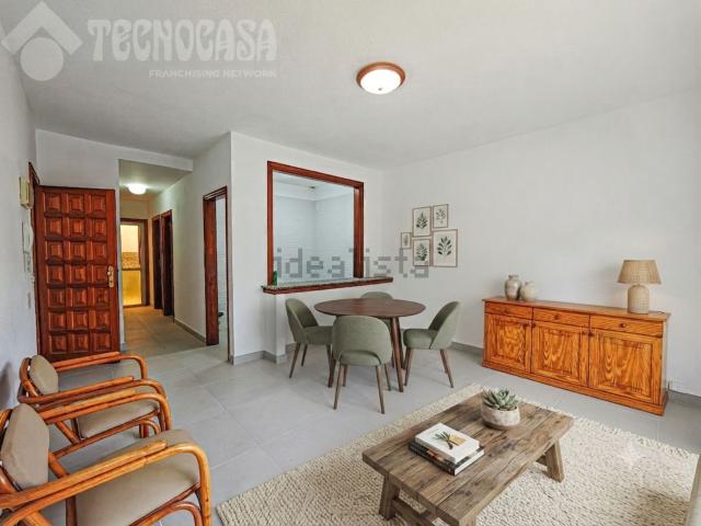 Piso, Arona