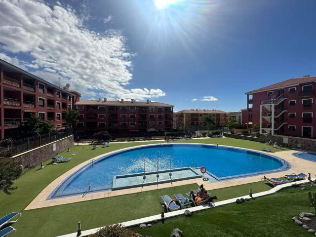 Piso, Arona