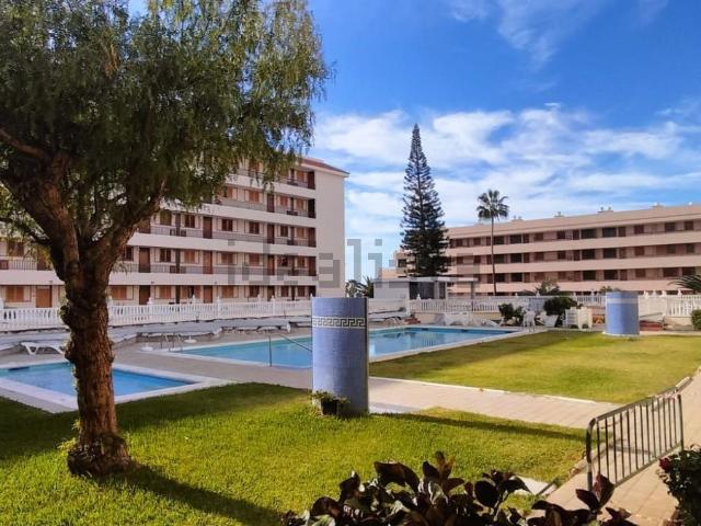 Piso, Arona