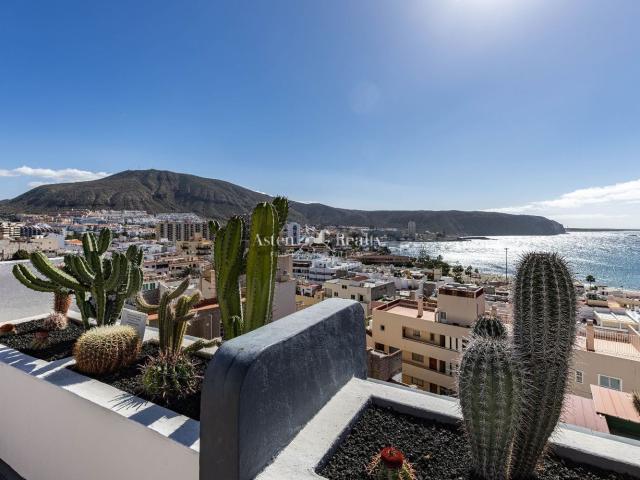 Piso, Arona