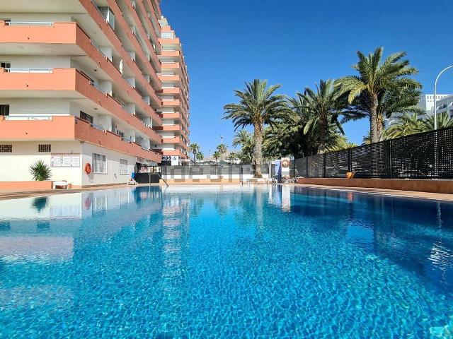 Piso, Arona