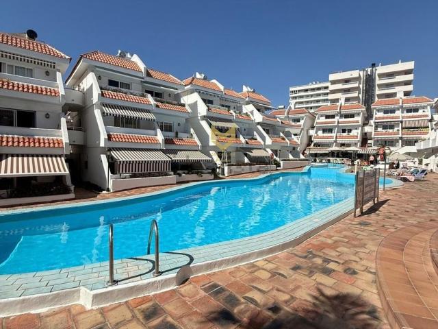 Piso, Arona