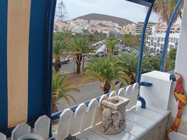 Piso, Arona