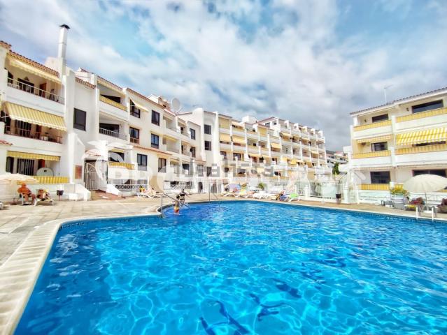 Piso, Arona