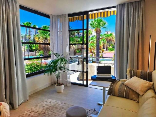 Piso, Arona