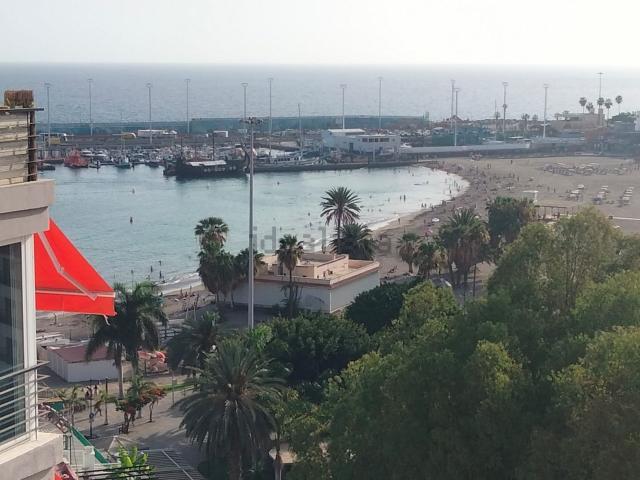 Piso, Arona
