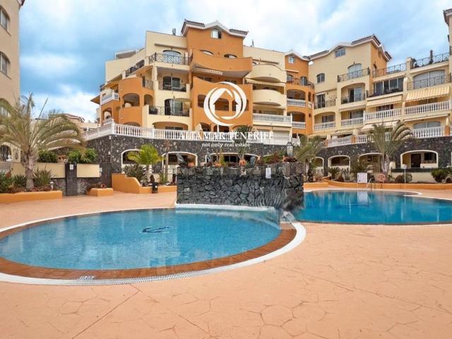 Piso, Arona