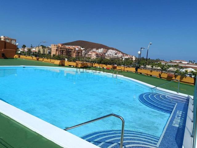 Piso, Arona