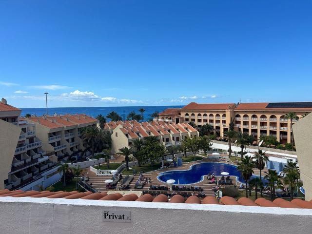Piso, Arona