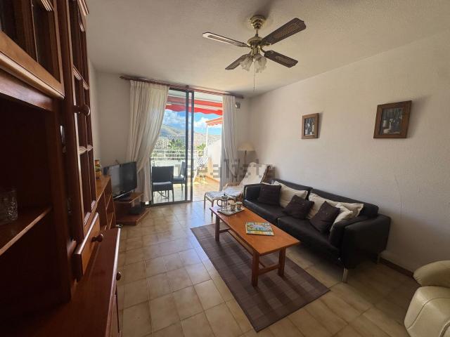 Piso, Arona