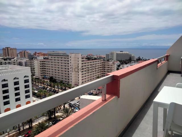 Piso, Arona