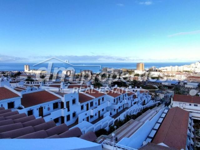 Piso, Arona