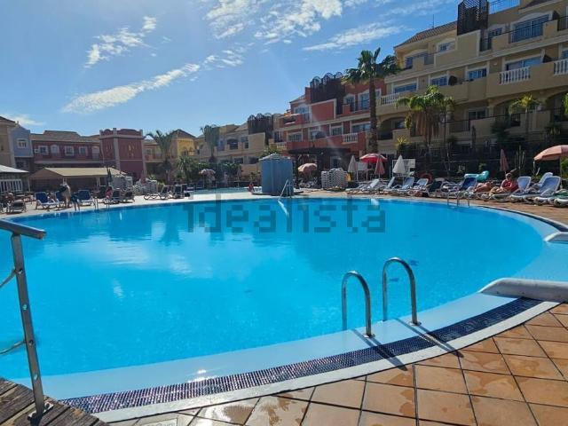 Piso, Arona