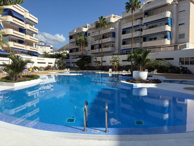 Piso, Arona