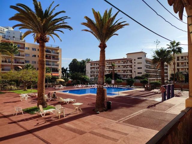 Piso, Arona