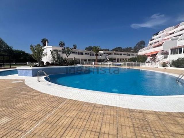 Piso, Arona