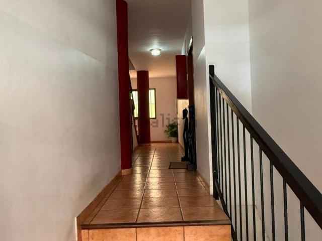 Piso, Arona