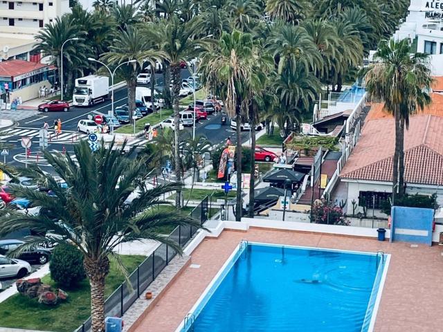 Piso, Arona