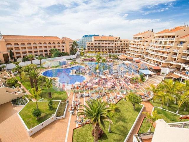 Piso, Arona