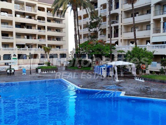 Piso, Arona