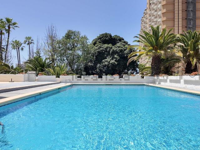 Piso, Arona