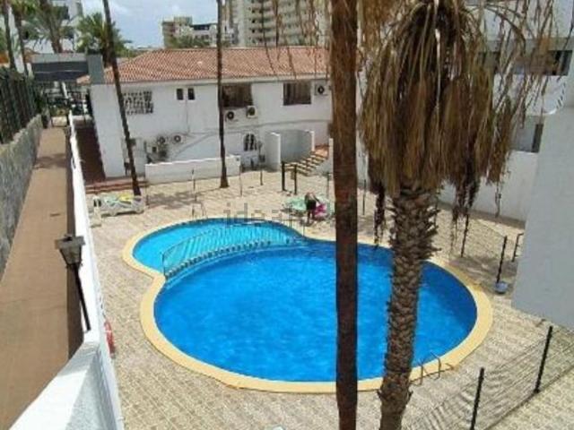 Piso, Arona
