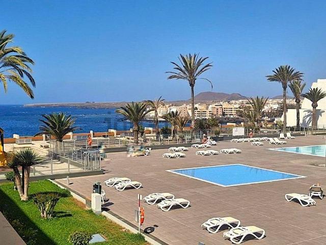 Piso, Arona