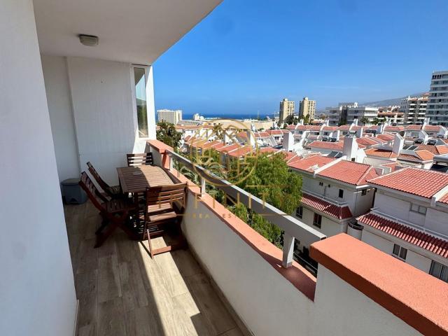 Piso, Arona