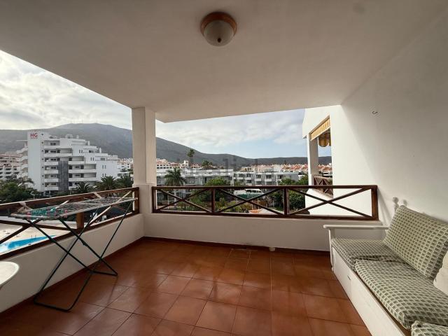 Piso, Arona