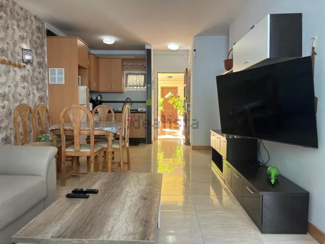 Piso, Arona