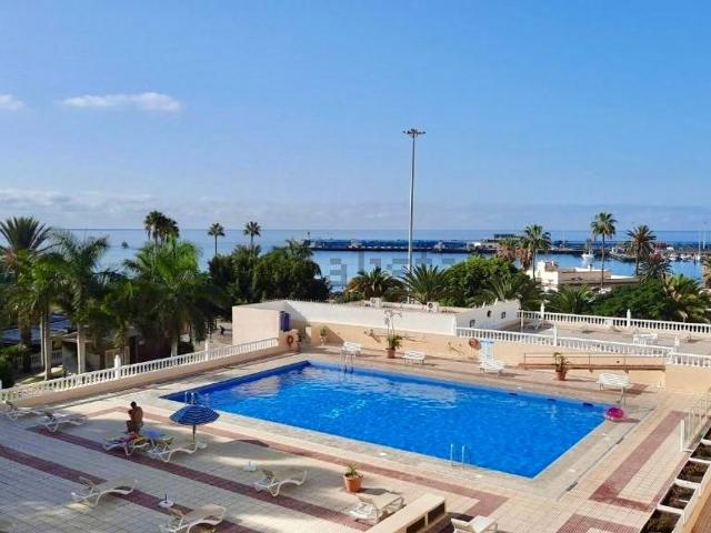 Piso, Arona