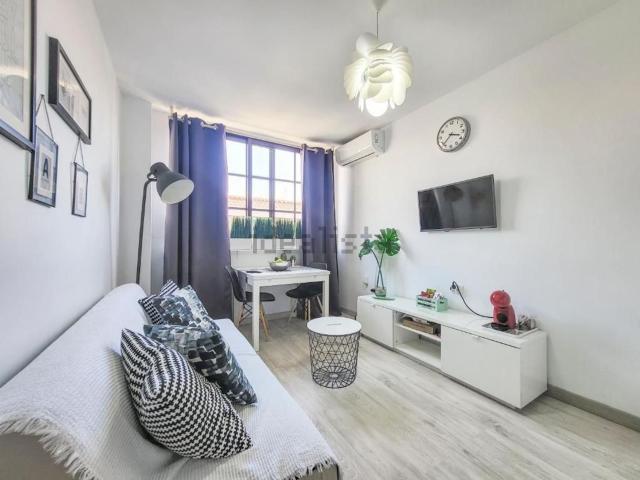 Piso, Arona