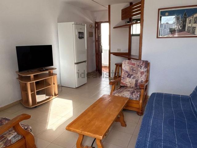 Piso, Arona