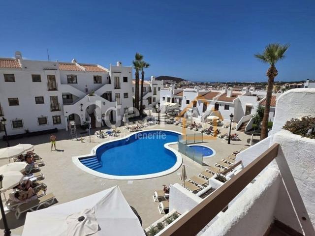 Piso, Arona