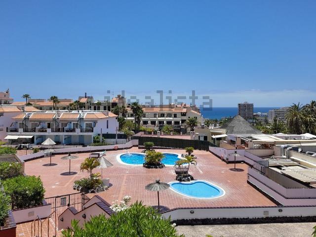 Piso, Arona