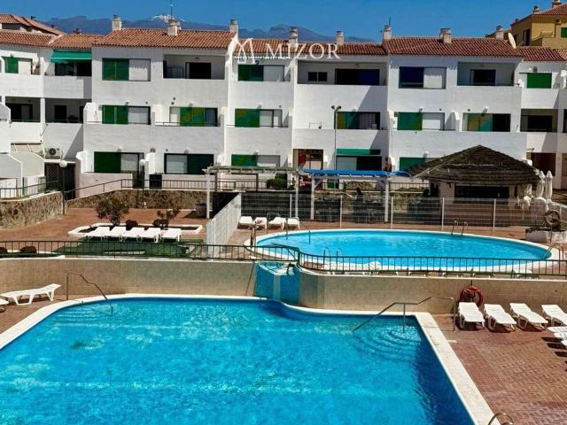 Piso, Arona