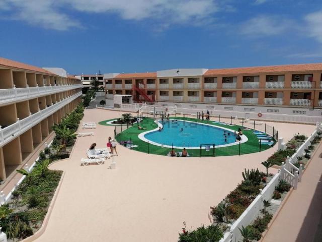 Piso, Arona