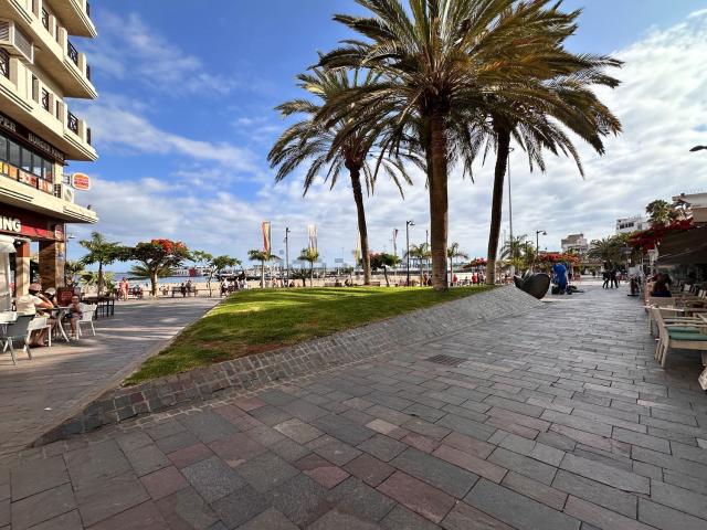 Piso, Arona
