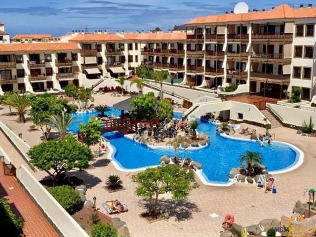 Piso, Arona
