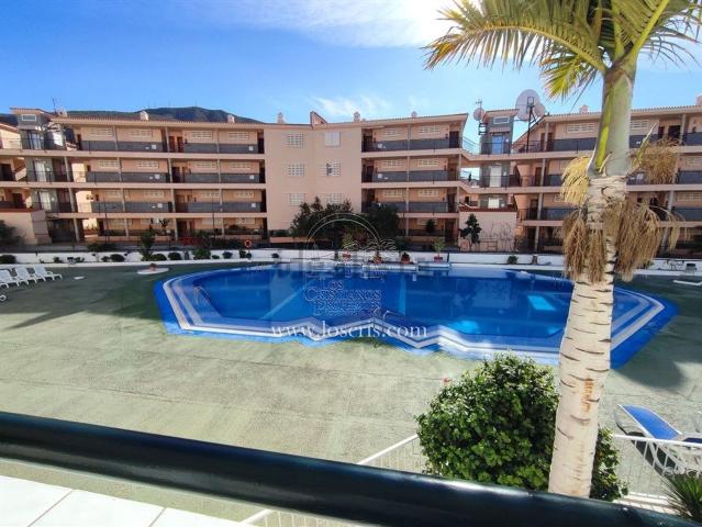 Piso, Arona