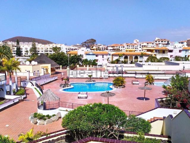 Piso, Arona
